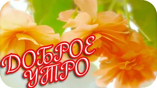 Доброе утро! 🌸 В счастье жить желаю вам! 🌸 Музыкальная открытка с пожеланиями.🌸Good morning! 🌸