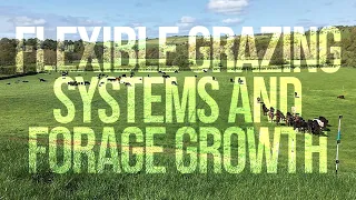 Flexible Grazing Systems and Forage Growth