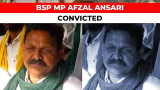 After Mukhtar Ansari, BSP leader Afzal Ansari handed 4-year jail term in Krishnanand Rai murder case