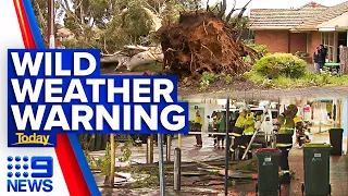 Sydney forecast to break rain record as multiple states brace for storms | 9 News Australia