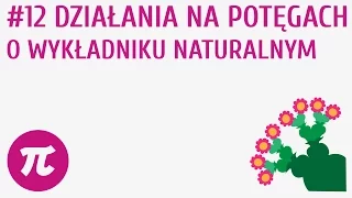 Działania na potęgach o wykładniku naturalnym #12 [ Potęgi o wykładniku naturalnym ]