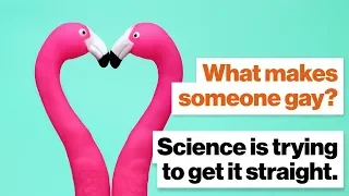 What makes someone gay? Science is trying to get it straight. | Alice Dreger | Big Think