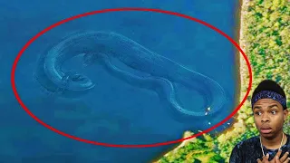 Weird Things Spotted and Caught On Google Maps