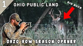 Hunting OHIO PUBLIC LAND on opening weekend! (DROP TINE BUCK!)