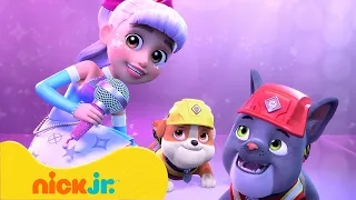 Rubble & Crew | Rubble ontmoet een popster! | Nick Jr. Nederlands