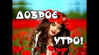 Волшебное Доброе утро!🌷 С Добрым Утром! Маки Самое Красивое Видео Открытка Пожелание.