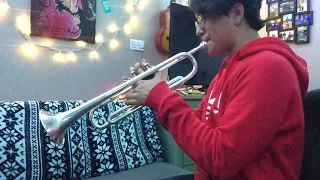 Darude Sandstorm (Trumpet Loop Cover)