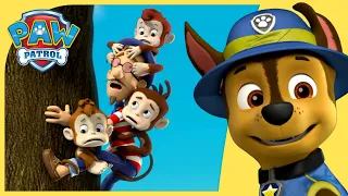Tracker and Jungle Rescues 🌳🌴🌲 | PAW Patrol +More Cartoons for Kids
