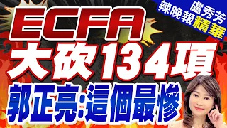 郭正亮爆大陸有三動作:斷134項ECFA.福州赴馬祖踩線團喊卡.陸不給飛新疆空域 | ECFA大砍134項 郭正亮:這個最慘【盧秀芳辣晚報】精華版@CtiNews