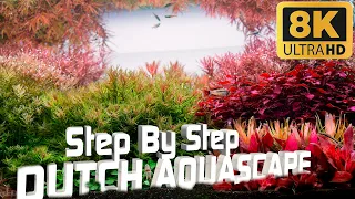 DUTCH AQUARIUM Setup - Step By Step Planted Aquarium