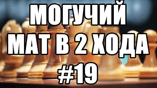 Шахматные задачи мат в 2 хода. Выпуск №19. Решение задач. Решение шахматных позиций - мат в два хода