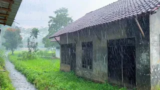 Heavy rain hits a village in Indonesia||very cool and pleasant||a rural atmosphere when it rains