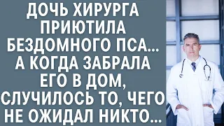 Дочь хирурга приютила бездомного пса… А когда забрала его в дом, случилось то, чего не ожидал никто…