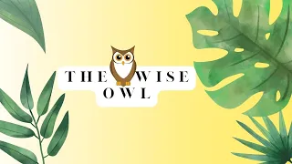 The Wise Owl || Justi Tales || Kids Short Moral Story #kidssong  #kidstv #stories