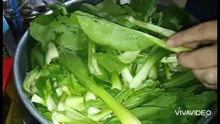 Taiwan petchay with garlic