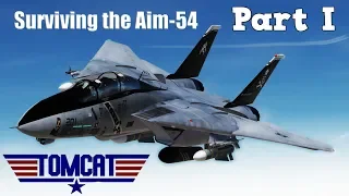 DCS: Encountering the Aim-54 Phoenix Part 1- F-14 Tomcat Mod Vs Mig-29