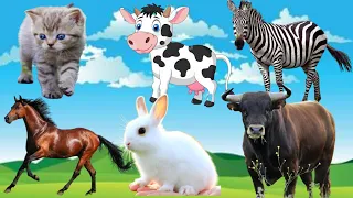 FARM MOMENTS - COW, CHICKEN, TIGER, HORSE, ELEPHANT, DUCK, MONKEY, SHEEP ANIMAL SOUND 143