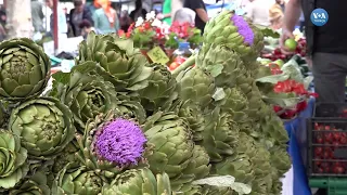 Urla enginarı tarım alanlarının daralması ve girdi maliyetleri kıskacında