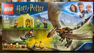 LEGO Harry Potter 75946 Hungarian Horntail Triwizard Challenge REVIEW!