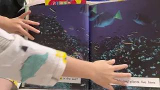 JOURNEYS 1st grade sea animals Orielreading