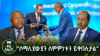 "ሶማሊያውያን ስምምነቱን ይቀበሉታል" ፕ/ሮ ብሩክ ኃይሉ በሻህ   |ቀይ ባሕርኛ |ቀይ ባሕር |Red Sea