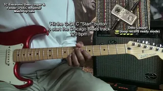 Guitar Gear Match-Up! Ditto Looper & Fender G-DEC Amplifier Chicago Blues Jam