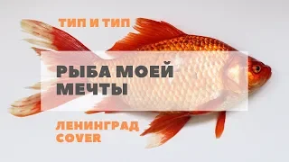 Кавер-группа "БЛИЗНЕЦЫ" - Рыба (Ленинград cover) | Йошкар-Ола