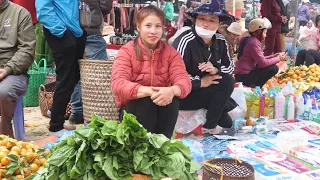 FULL VIDEO: farm building. Grow vegetables and harvest vegetables and bring them to the market