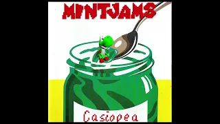 Mint Jams - Casiopea with the Super Mario 64 soundfont