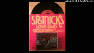 THE SPOTNICKS "The Taste Of Your Love" 1975 Swedish junkshop glam boogie