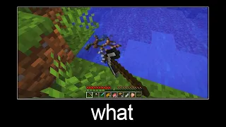 Minecraft wait what meme part 41 (how to break water?)