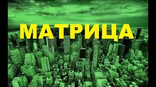 Как выйти из матрицы. Переезд из города в деревню - выход?