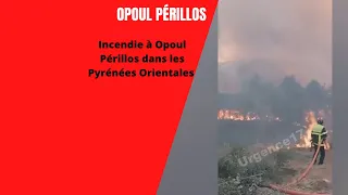 Incendie à Opoul Périllos dans les Pyrénées Orientales le 28 06 2022