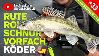 Angelausrüstung zum Zanderangeln (mit dem Gummifisch) 🔥🎣👍🏼