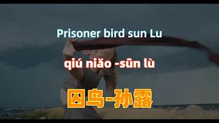 囚鸟-孙露 qiu niao.Prisoner bird - sun Lu.磁性女声.中文歌曲.Chinese songs lyrics with Pinyin.