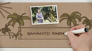 La historia de una banana