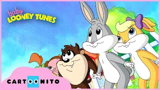 Baby Looney Tunes | The Ice Cream | Cartoonito UK