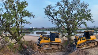 Bulldozer Was Does a Great Job,Bulldozer SHANTUI Push Big Tree  And DumpTruck Transport Land