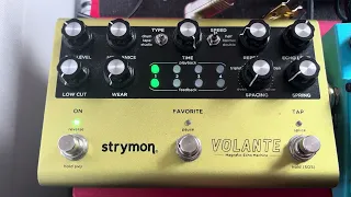 Get The 'Throw Away Your Television' Delay Tone With A STRYMON VOLANTE | RCHP | John Frusciante