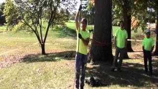 Evolution of the Secured Footlock Event in Tree Climbing Competition