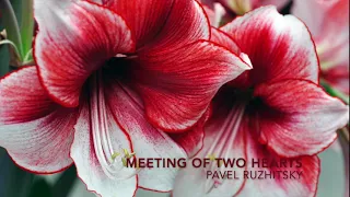 Meeting of Two Hearts - Pavel Ruzhitsky