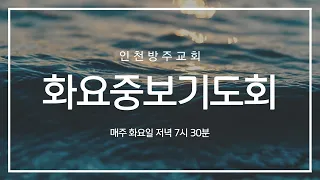 2022. 11. 08 인천방주교회 화요중보기도 ( 기도하는 이유 새 영을 주십니다 / 에스겔 11장 14-21절 / 강태훈 목사 )