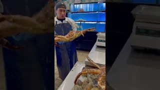 The biggest KING CRAB in Texas #shorts #kingcrab #crab