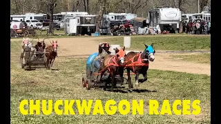 Chuckwagon Races