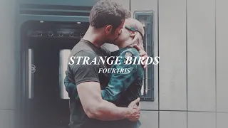 strange birds | tobias (four) + tris