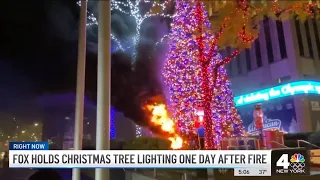 New Details in  Fox News Christmas Tree Arson Case — and Suspect Is Out of Jail