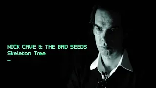 Nick Cave - Skeleton Tree Album Lyric Video Recreation Project