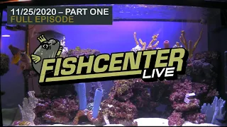 Fishcenter - The Final Episode Part 1 (November 25, 2020)