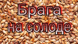 Брага на солоде