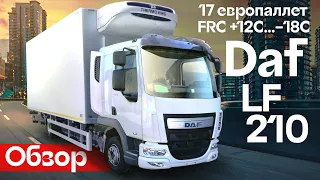 Обзор рефрижератора DAF LF 210, тест драйв ДАФ по Москве 🚛 | Автосалон Кирилла Сухина